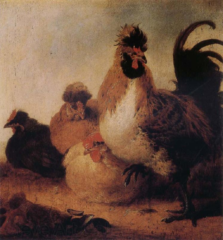 Aelbert Cuyp Rooster and Hens France oil painting art